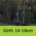 Prunus Sargentii standard girth 14-16cm